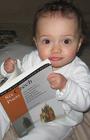 [Six Czech Poets (young reader)]